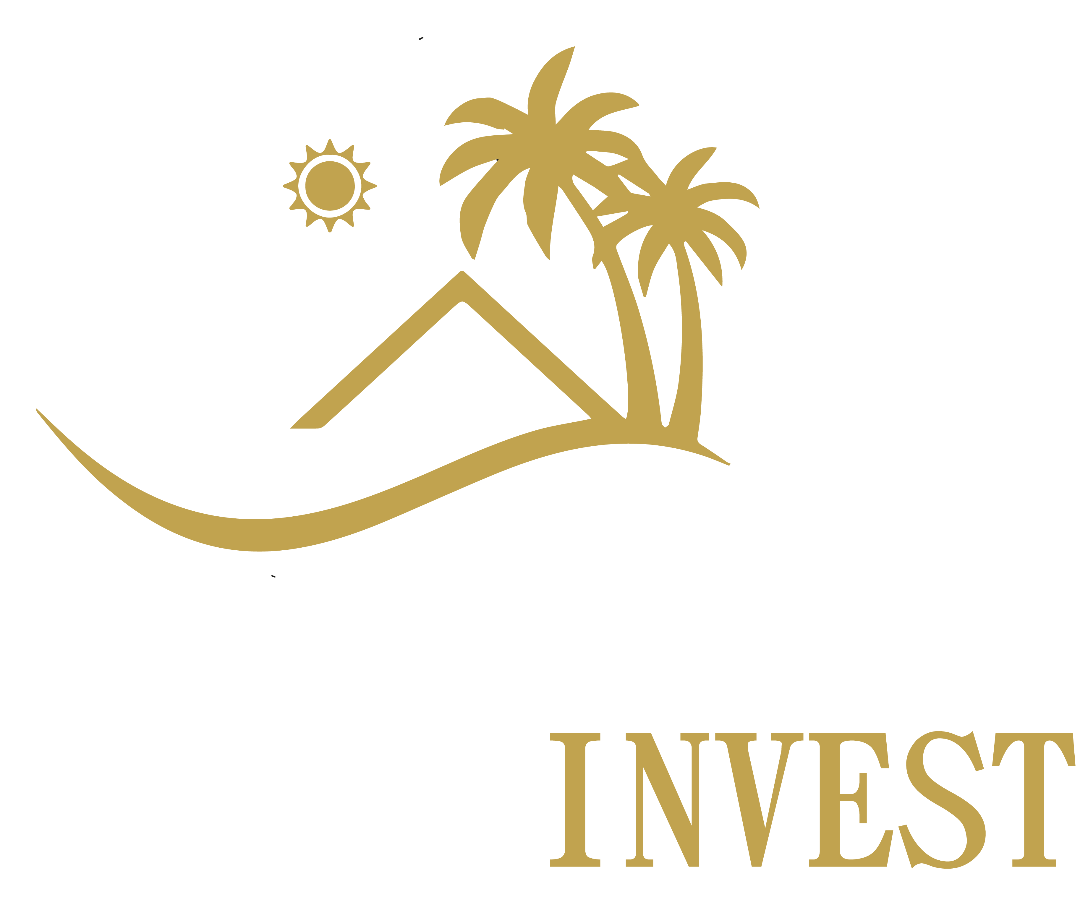 Logo ZANINI FINAL sem fundo negativo